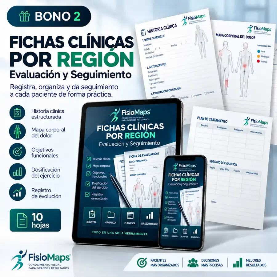 Bono 2 — Fichas Clínicas por Región